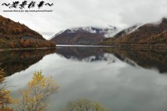 御母衣湖畔に映る