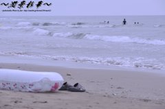 夏の日のおもひで