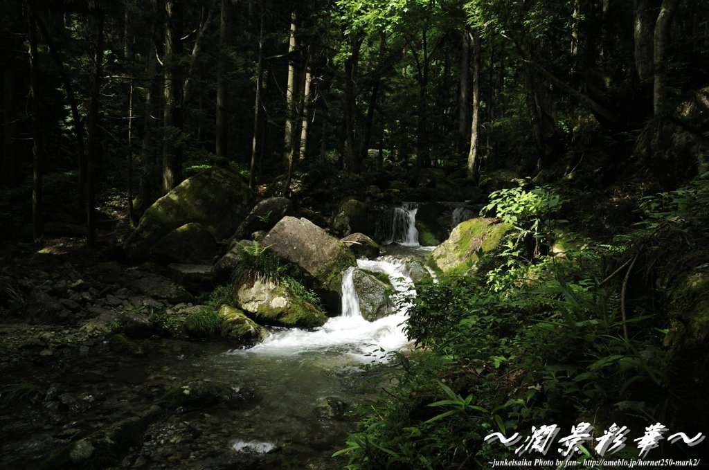 木陰の清流