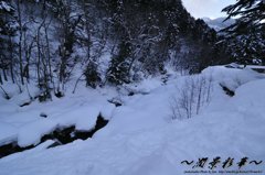 雪の上流