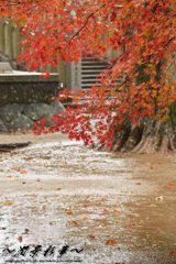 雨音が聞こえて