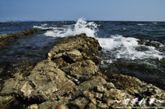岩浜と波