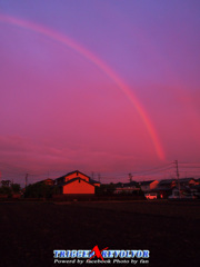 振り返るとRainbow