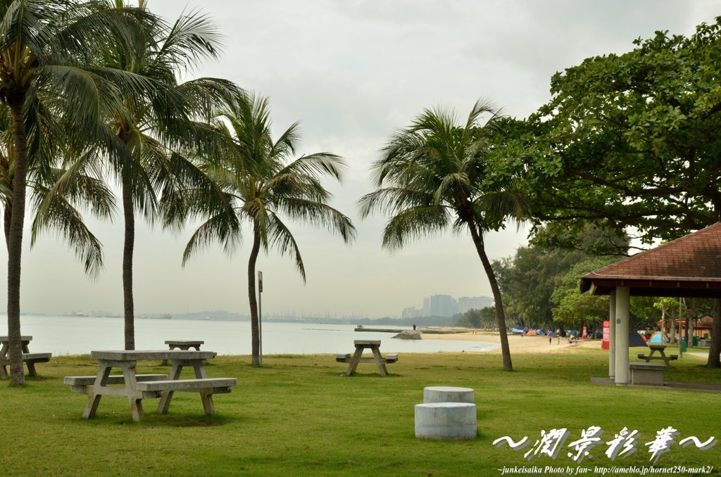 遠くに見るSouthCity