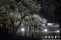 闇に咲く薄墨の夜