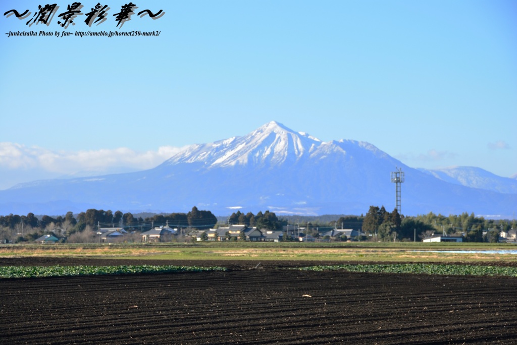 霧島が見える畑で
