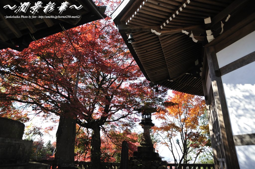 八角堂から見て