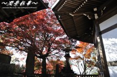 八角堂から見て