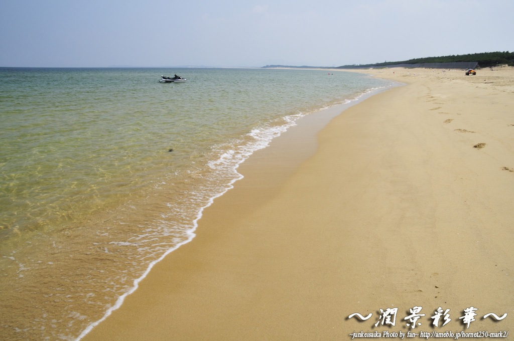 穏やかな夏の海に