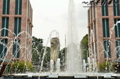 噴水の向こうから