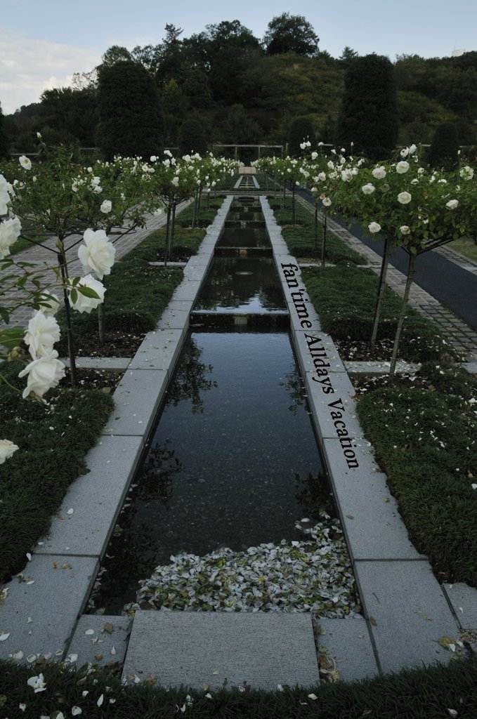 Rose road