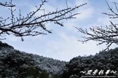 宮崎、雪一面