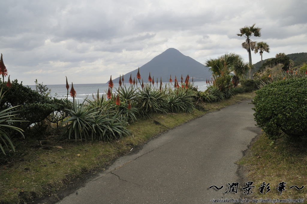 トロピカル・富士