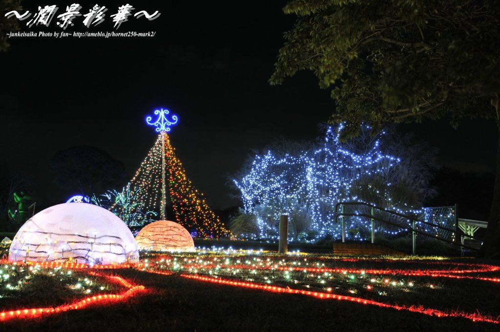 クリスマスが近くなってきて