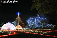 クリスマスが近くなってきて