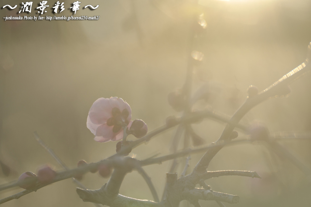 あたたかい時間