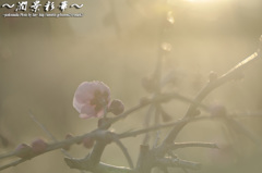 あたたかい時間