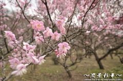 光のつぶての中を