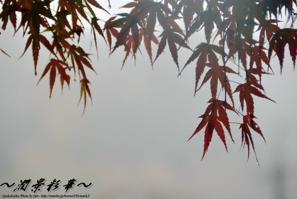 霞迷い