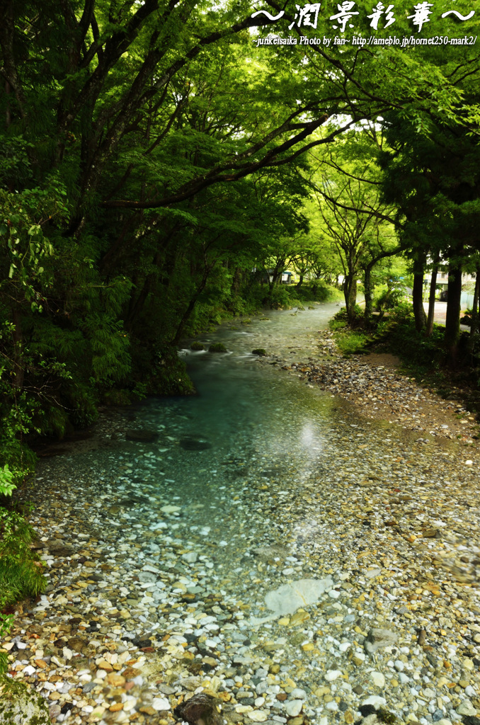 緑瑞々しくも