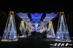 キラメク道の中を