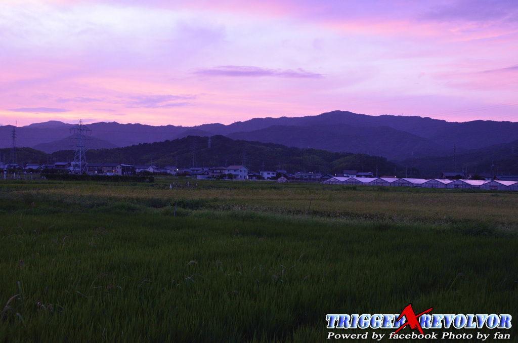 とある日の晩夏の夕暮れ