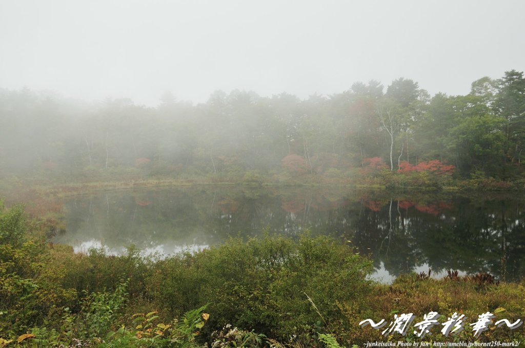 静かに白くなっていく
