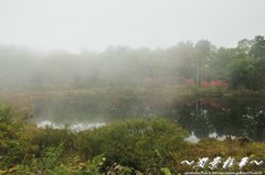 静かに白くなっていく