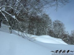 ゲレンデ・ブルースカイ