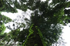 伝って、広がる