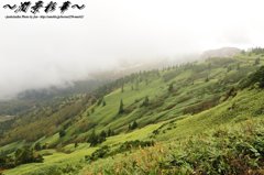 すべてが霧に包まれてゆくから