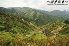 憧れのナナカマドの大地に