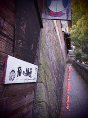 ここから猫の細道