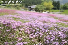 花のじゅうたん