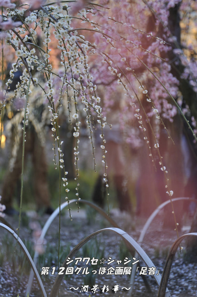 春の雨音