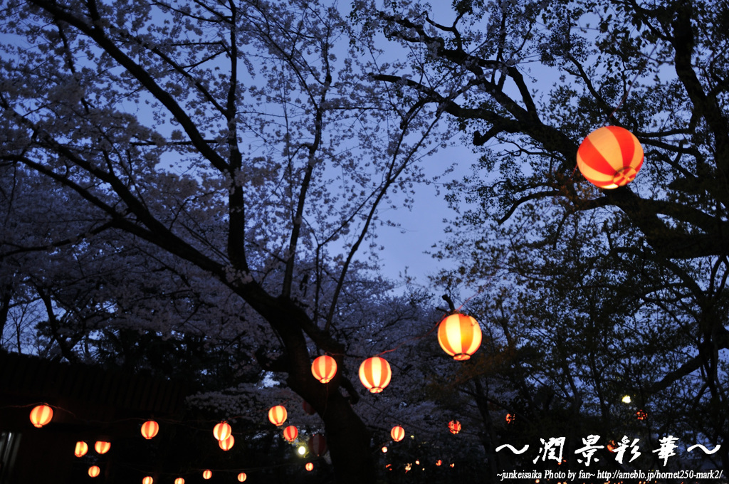 夜の宴に続いて