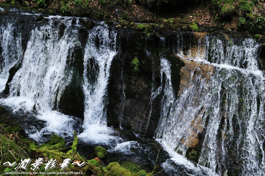 地面を沿うように