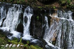 地面を沿うように