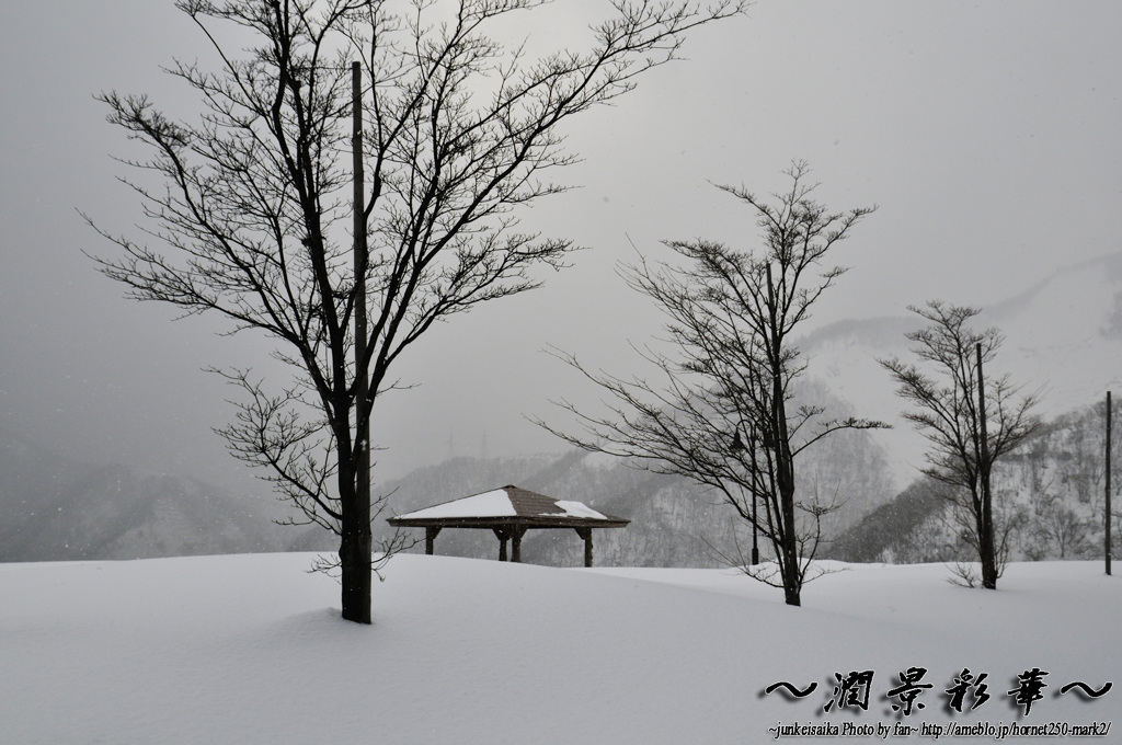 粉雪の降る朝