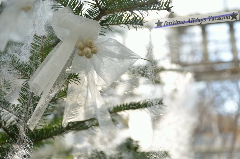 素敵なクリスマスを