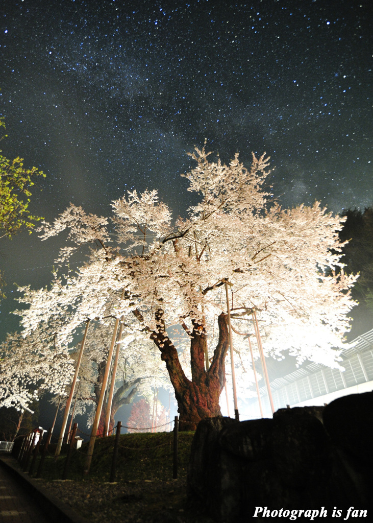 行く年も、来る年も