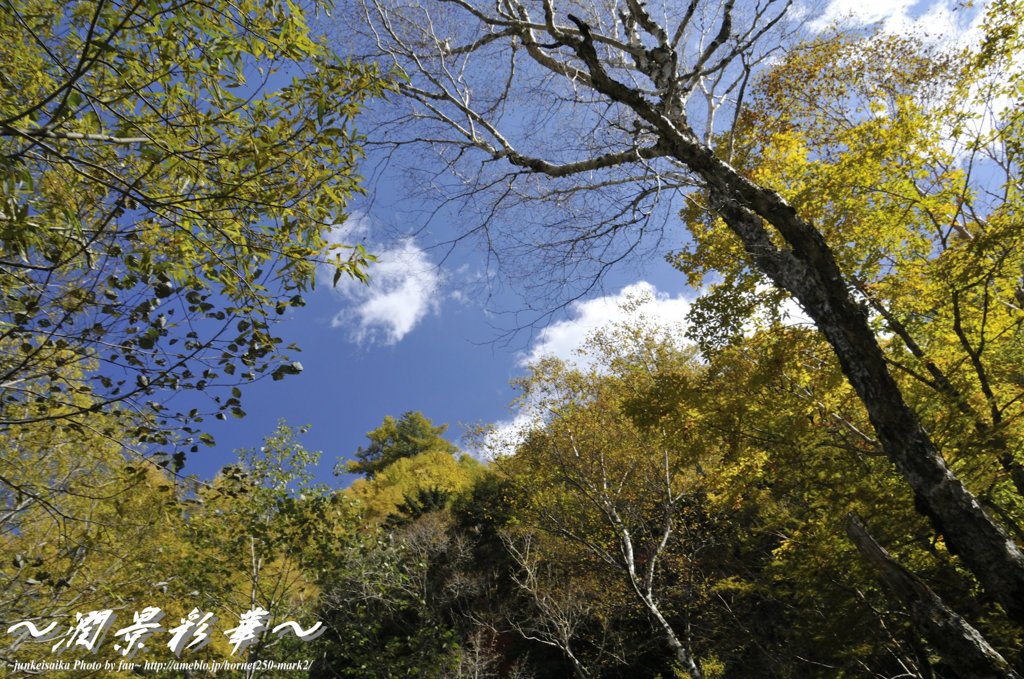 早い秋が訪れて