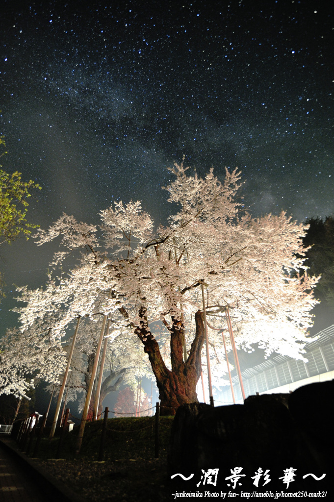 行く年も、来る年も