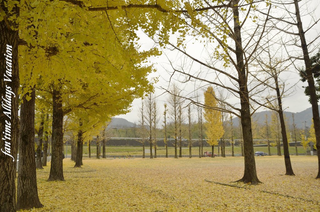 黄色い公園