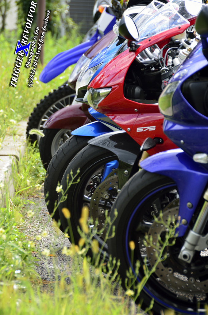 The street riders