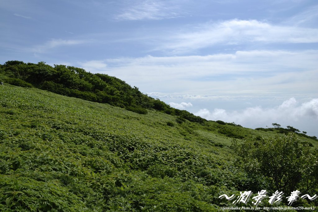 雲間を抜けると