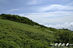 雲間を抜けると