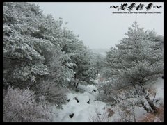 １月１日　冬宮崎