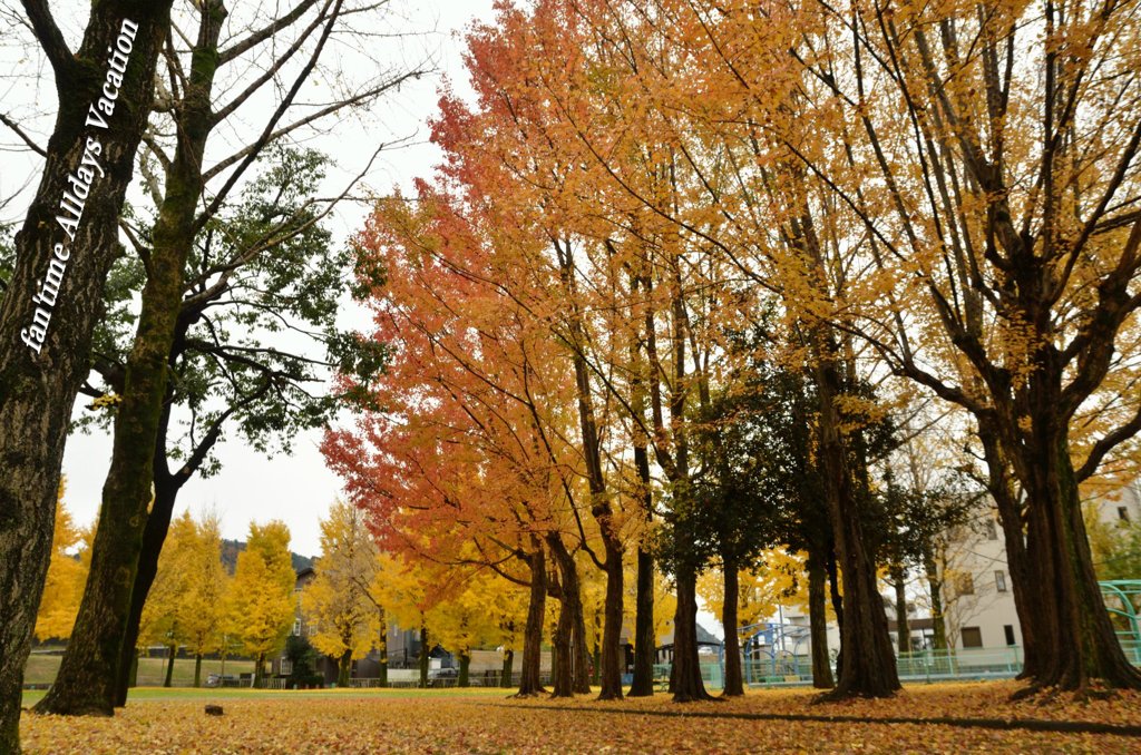 紅葉並木