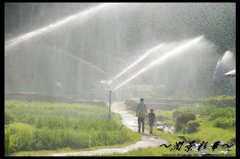 カーテンシャワーの帰り道